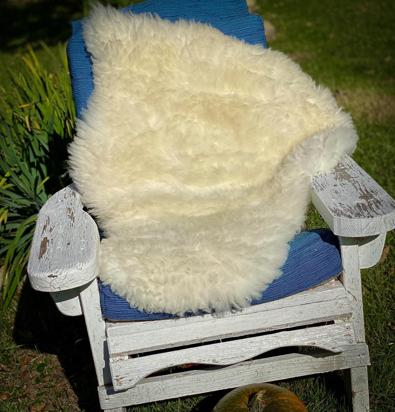 100% Natural British Plush Sheepskin Rug (White/Cream) Actual Rug 1 Rug by Glencroft | Poe and Company Limited, LLC®