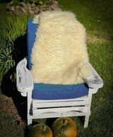 100% Natural British Plush Sheepskin Rug (White/Cream) Actual Rug 2 Rug by Glencroft | Poe and Company Limited, LLC®