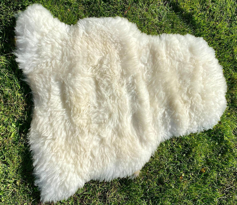 100% Natural British Plush Sheepskin Rug (White/Cream) Rug by Glencroft | Poe and Company Limited, LLC®